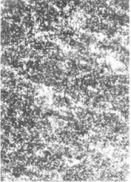 T12(𡢻ػ̎)ĽD1.jpg