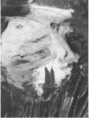 yTw_ѷ2.jpg