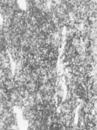 Cr12MoV(1020մ520ػ)D.jpg