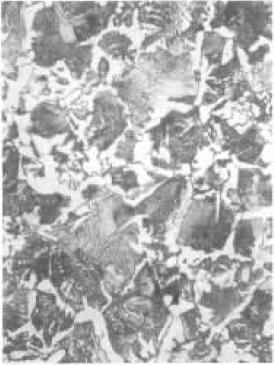 45 (860)ĽD.jpg
