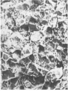 D3  SEI  300×.jpg