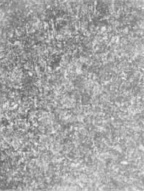 D1(500×).jpg