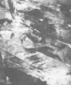 D1  20000×.jpg