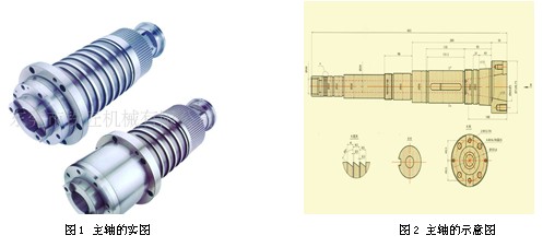 SD.jpg