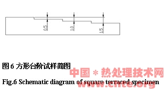 D41.jpg
